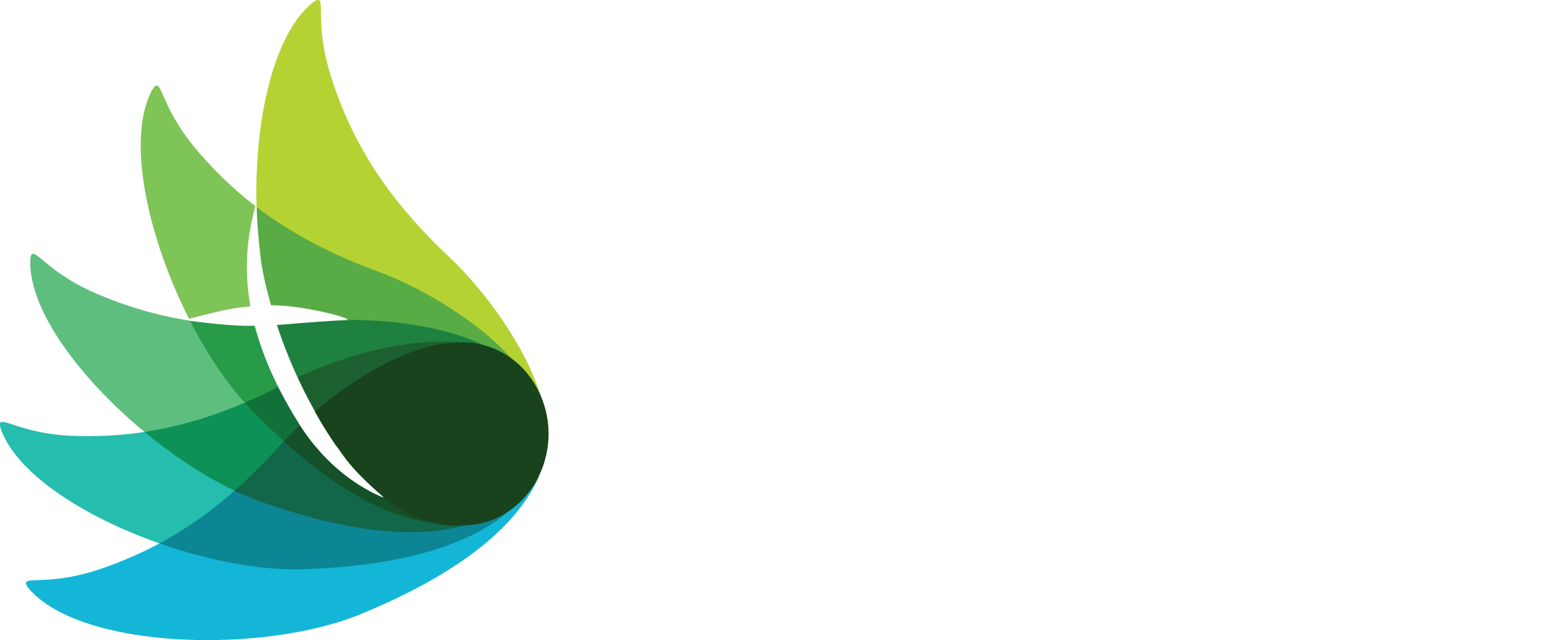 Carinity Online Learning Hub